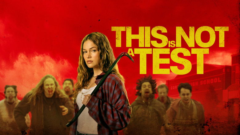 This Is Not a Test - VJ Junior