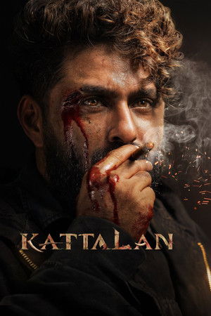 Kattalan 1 - VJ Ice P