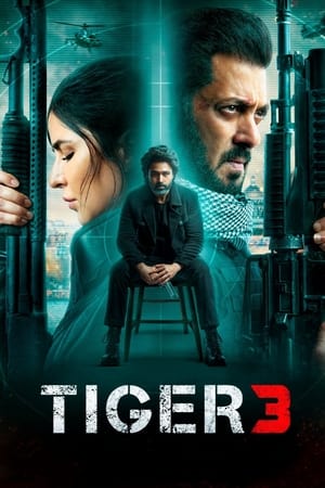 Tiger 3 - VJ Emmy
