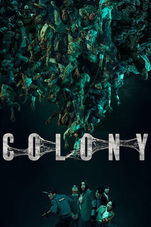 Colony - VJ Junior
